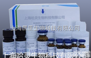 石蜡切片<em>神经纤维</em>比耳朔<em>夫斯基</em>银染<em>试剂盒</em>报价