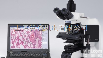 <em>BX53</em>  <em>奥林巴斯</em>显微镜--<em>BX53</em> 生物显微镜--<em>BX53</em> 荧光显微镜--BX...
