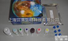 人（anti-typhus-Ab）Elisa<em>试剂盒</em>说明书,抗<em>斑疹</em>伤寒抗...