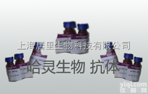 磷酸化细胞周期检查控制<em>蛋白质</em>抗体<em>报价</em>