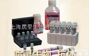 半胱胺酸蛋白酶蛋白-6<em>抗体</em>（N端）<em>报价</em>