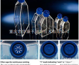 156340  <em>Nunc</em>* EasYFlasks 25cm2 细胞培养瓶（<em>透气</em>/密闭）