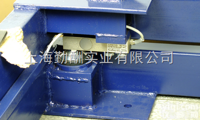 SCS  全国销量L先<em>防水</em><em>不锈钢</em><em>钢瓶</em>秤 Z低价标准<em>钢瓶</em>秤