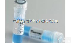 801008  中性粒细胞明胶酶相关载脂蛋白（<em>NGAL</em>）单抗，<em>NGAL</em>抗体