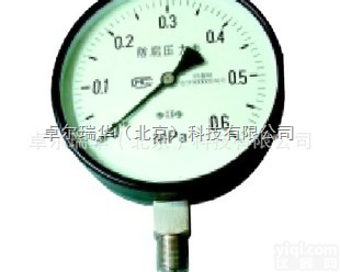 YTF-100  北京<em>卓尔</em><em>瑞华</em>不锈钢防腐<em>压力表</em> 氨气<em>压力表</em> 耐热高温<em>压力表</em>