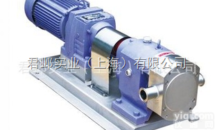 <em>不锈钢转子泵</em>,高粘度转子泵,万能泵,转子泵应用领域,转子泵大全