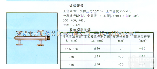 UDZ  UDZ型电极式液位传感器