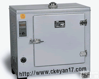 <em>电加热</em>恒温<em>干燥箱</em>厂家