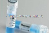 901032  <em>广州</em>abgree<em>优质</em>诊断原料BNP抗体