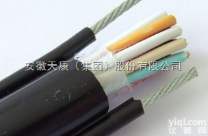 安徽天康  电动<em>葫芦</em><em>控制电缆</em>-电动<em>葫芦</em>专用电缆