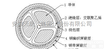 安徽天康BPYJVP12R  变频电缆|变频<em>特种电缆</em>