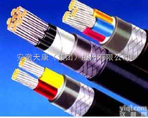 安徽天康  耐火电缆NH-YJV<em>交联</em><em>聚乙烯</em>绝缘<em>聚氯乙烯</em><em>护套</em><em>电力电缆</em>