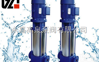 永嘉<em>GDL型管道多级离心泵</em>