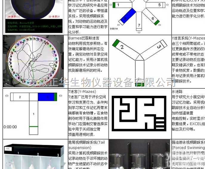 ZH-SBS  <em>动物</em><em>行为</em><em>实验站</em>