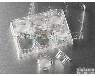 <em></em>3<em></em>4<em></em>5<em></em>0<em></em> <em></em> <em></em>�<em></em>�<em></em>�<em></em>�<em></em>�<em></em>�<em></em>T<em></em>r<em></em>a<em></em>n<em></em>s<em></em>w<em></em>e<em></em>l<em></em>l<em></em>�<em></em>�<em></em>�<em></em>�<em></em>�<em></em>�<em>透明膜</em><em></em>�<em></em>�<em></em>�<em></em>�<em></em>�<em></em>�<em></em> <em></em>�<em></em>�<em></em>�<em></em>�<em></em>�<em></em>�<em></em>P<em></em>E<em></em>�<em></em>�<em></em>�<em></em>�<em></em>�<em></em>�<em></em>�<em></em>�<em></em>�<em></em>�<em></em>�<em></em>�<em></em>�<em></em>�<em></em>�<em></em>