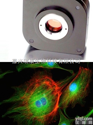 CCD  <em>荧光专用科学级冷CCD相机</em>