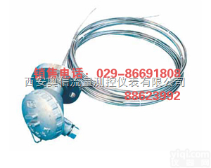 WRN-230D <em>WRE</em>-230D  隔爆<em>热电偶</em>WRN-230D <em>WRE</em>-230D 多点测量隔爆<em>热电偶</em>