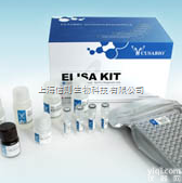 羊白介素18（IL18）检测试剂盒