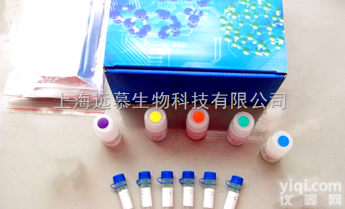 代测<em>小鼠</em>β葡<em>糖苷酶</em>（β-glucosidase）ELISA<em>试剂盒</em>价格k...