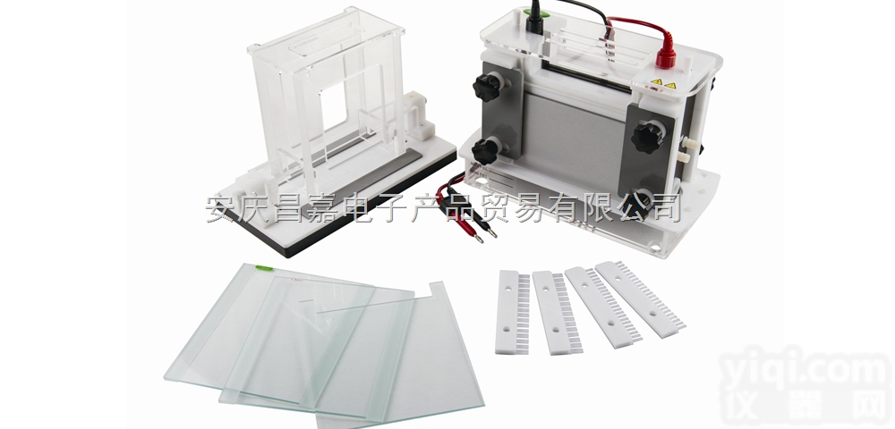 JY-SCZ8双垂直<em>电泳槽</em>  凝胶面积 174x195mm 、<em>玻璃板</em>面积 214×220、...