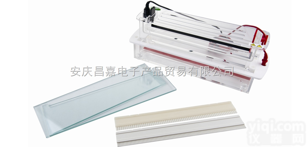 高通量垂直<em>电泳槽</em>  JY-SCZF、 凝胶面积 306x95mm 、<em>玻璃板</em>  338x11...