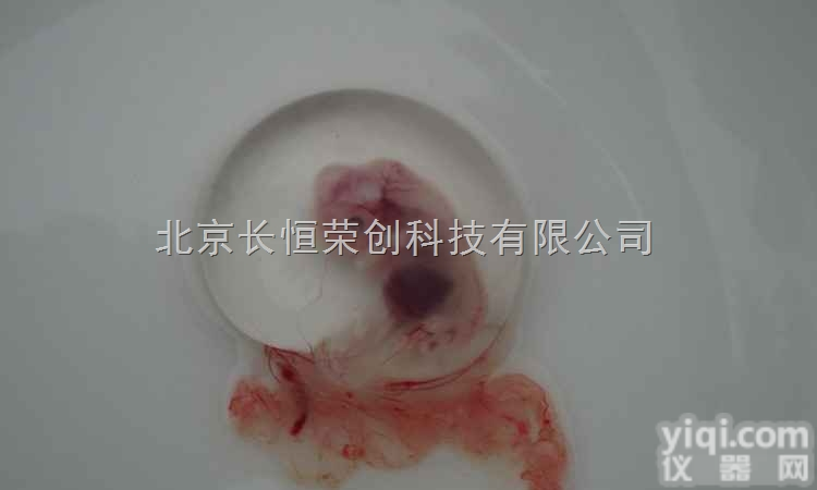 SZ61-CV320  动物<em>胚胎</em>解剖观察<em>显微镜</em>