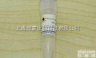 Anti-GDNF Receptor alpha 2胶质细胞系源性神经...