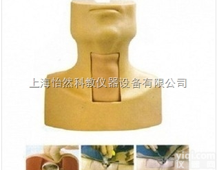 YR-50S  原装高级<em>气管</em>切开<em>插管</em>训练<em>模型</em> <em>气管</em>切开<em>模型</em> YR-50S