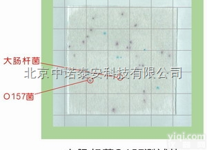 食品<em>大肠杆菌</em>检测纸片 o157<em>大肠杆菌</em><em>测试</em>片