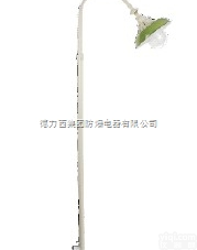 防爆平<em>台灯</em>杆，法兰式防爆平<em>台灯</em>杆，护栏式防爆平<em>台灯</em>杆