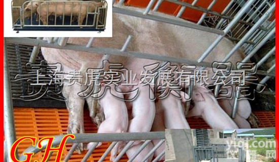 GH-SCS  <em>畜牧场</em>专用<em>地磅</em>动物秤，称猪牛羊称