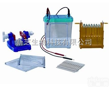 <em>DYCZ</em>-26B  北京六一双向<em>电泳槽</em><em>DYCZ</em>-26B/双向<em>电泳槽</em>/<em>电泳仪</em>现货销售