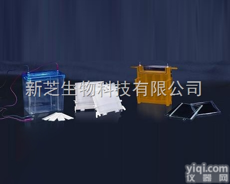 <em>DYCZ</em>-24F  北京六一双垂直<em>电泳槽</em><em>DYCZ</em>-24F/垂直<em>电泳槽</em>/<em>电泳仪</em>现货销售