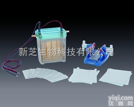 <em>DYCZ</em>-24EN  北京六一双垂直<em>电泳槽</em><em>DYCZ</em>-24EN/双垂直<em>电泳槽</em>/<em>电泳仪</em>现货销售