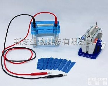 <em>DYCZ</em>-24DN  北京六一迷你双垂直<em>电泳槽</em><em>DYCZ</em>-24DN/双垂直<em>电泳槽</em>/<em>电泳仪</em>现货销...