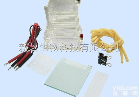 <em>DYCZ</em>-23A  北京六一小型单垂直<em>电泳槽</em><em>DYCZ</em>-23A/垂直<em>电泳槽</em>/<em>电泳仪</em>现货销售