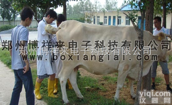 <em>兽用</em>B超BXL-V10  <em>便携式</em><em>兽用</em>B超测孕仪