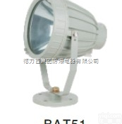防爆<em>投光灯</em>，BAT51系列防爆<em>投光灯</em>（<em>分体式</em>）