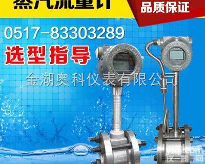 蒸汽<em>计量表</em>，蒸汽<em>专用</em><em>计量表</em>