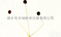 25.4*76.2mm  新乡<em>求精</em><em>玻片</em>，微生物<em>玻片</em>，普高教用<em>玻片</em>