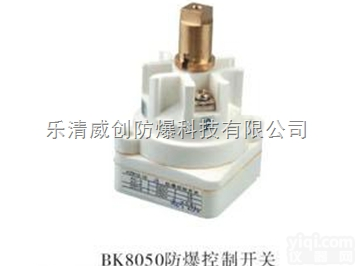 BK8050<em>防爆</em>控制开关|<em>防爆</em>操作柱<em>转换开关</em>