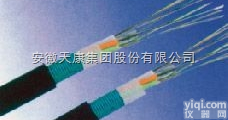 <em>GYTY53</em><em>光缆</em>  <em>GYTY53</em><em>光缆</em>生产厂家