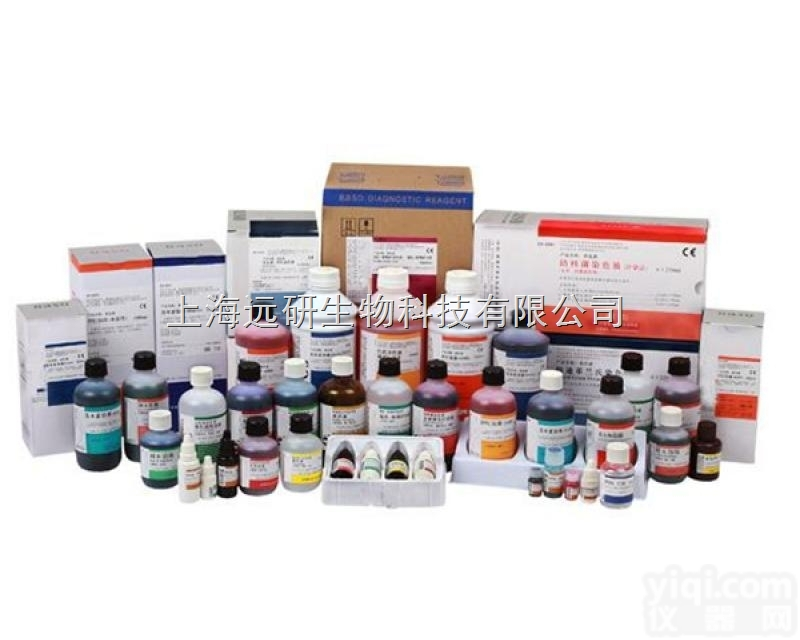 <em>人大</em>疱性类疱疮（BP）<em>ELISA</em><em>试剂盒</em>