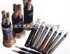 护套<em>船用</em><em>控制电缆</em>  聚氯乙烯绝缘和护套<em>船用</em><em>控制电缆</em>