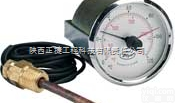 DWYER RRT系列<em>远程</em><em>读数</em>温包式<em>温度计</em>