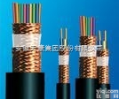 <em>计算机</em><em>电缆</em>  DJYPV系列<em>计算机</em><em>电缆</em>