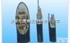<em>KVV</em><em>控制电缆</em>  <em>KVV</em><em>控制电缆</em>