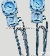 <em>BWTY</em>-<em>205</em>z  <em>BWTY</em>-<em>205</em>z系列防爆<em>测温</em>仪表