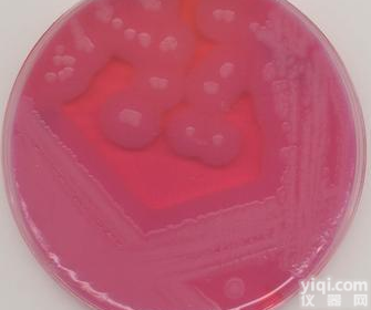 <em>琼脂</em>培养基 L（亮绿，<em>酚红</em>，水合<em>乳糖</em>，蔗糖<em>琼脂</em>）