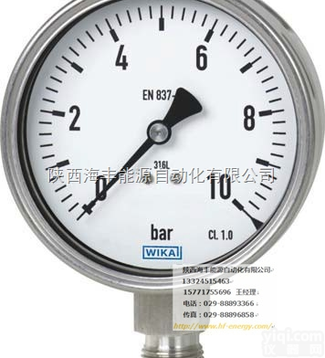 232.50、233.50  全不锈钢波登管<em>压力表</em>232.50、233.50